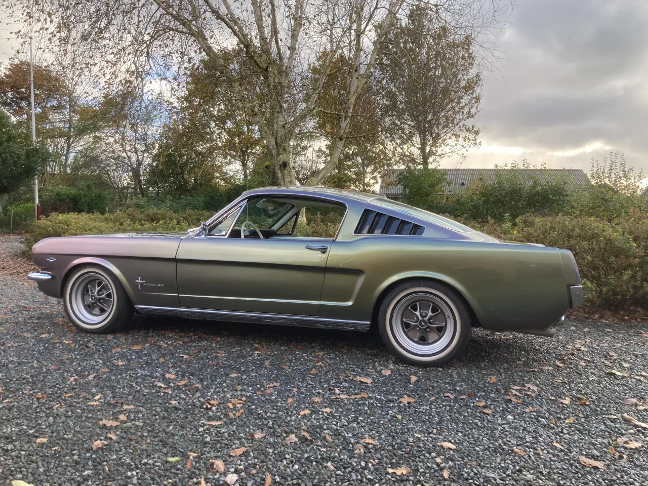 Billede 10 - 1965 Mustang Fastback