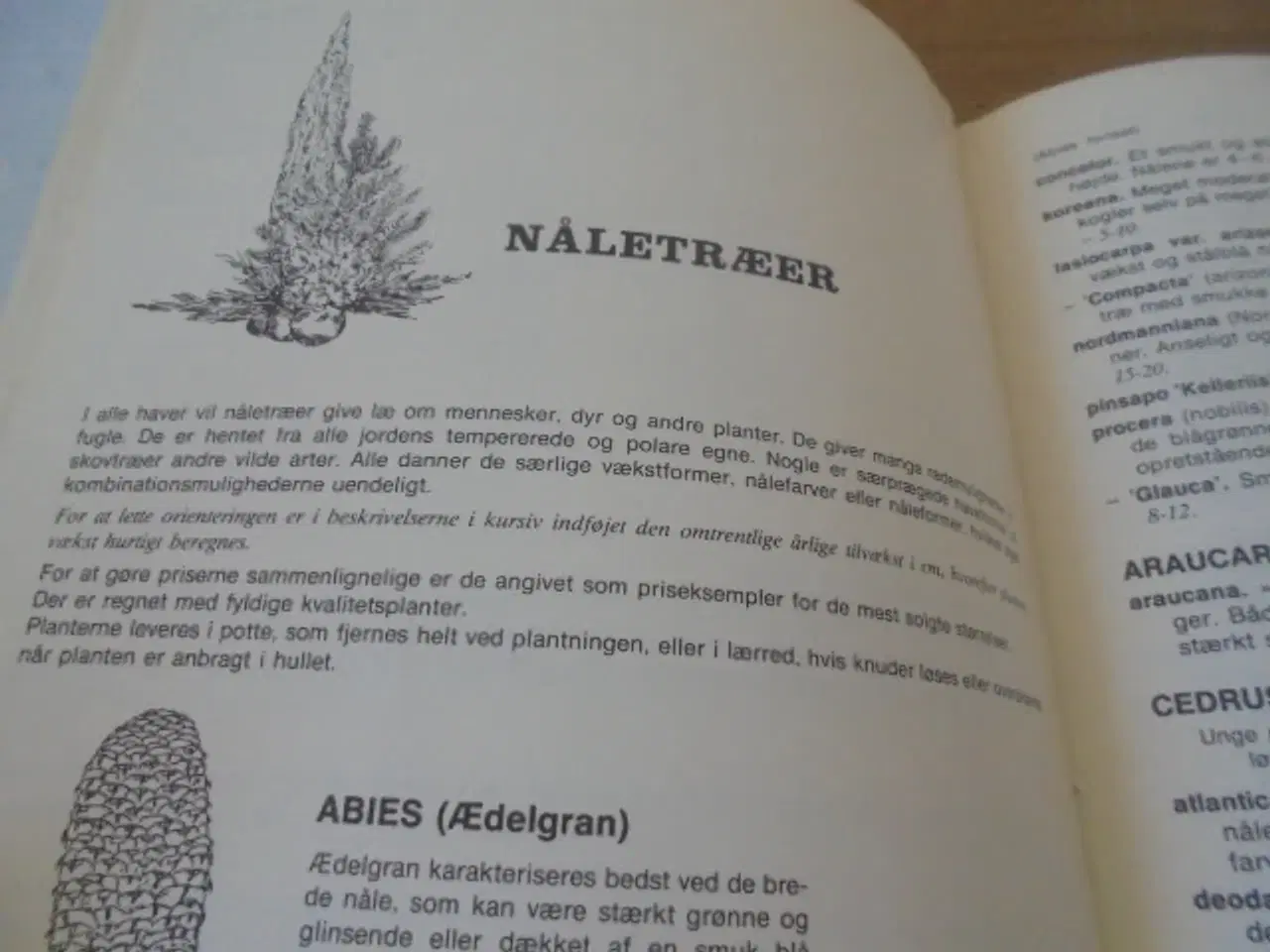 Billede 5 - Plantekatalog fra Planteskolernes Propagandacentra