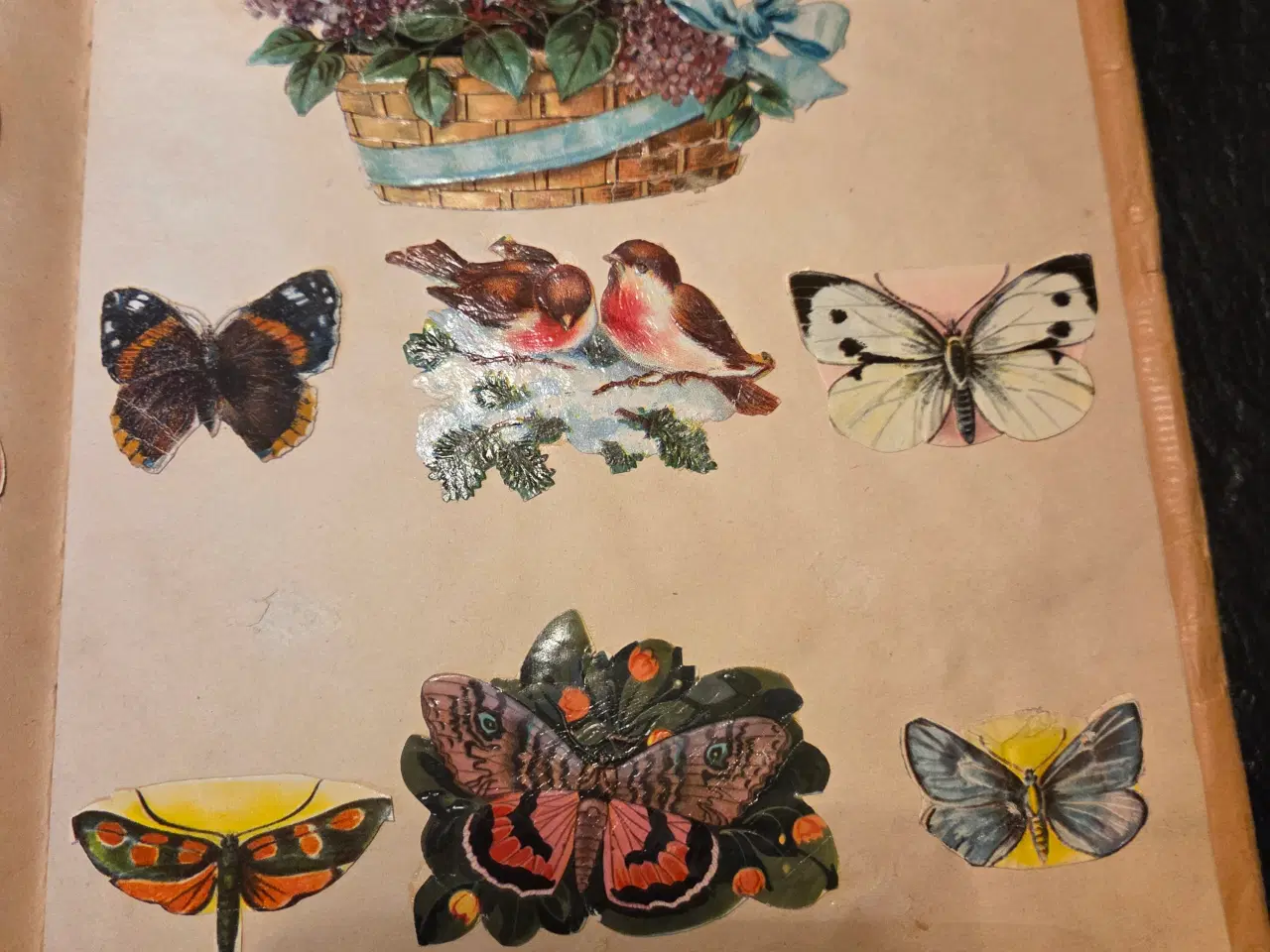 Billede 5 - Bog med glansbilleder