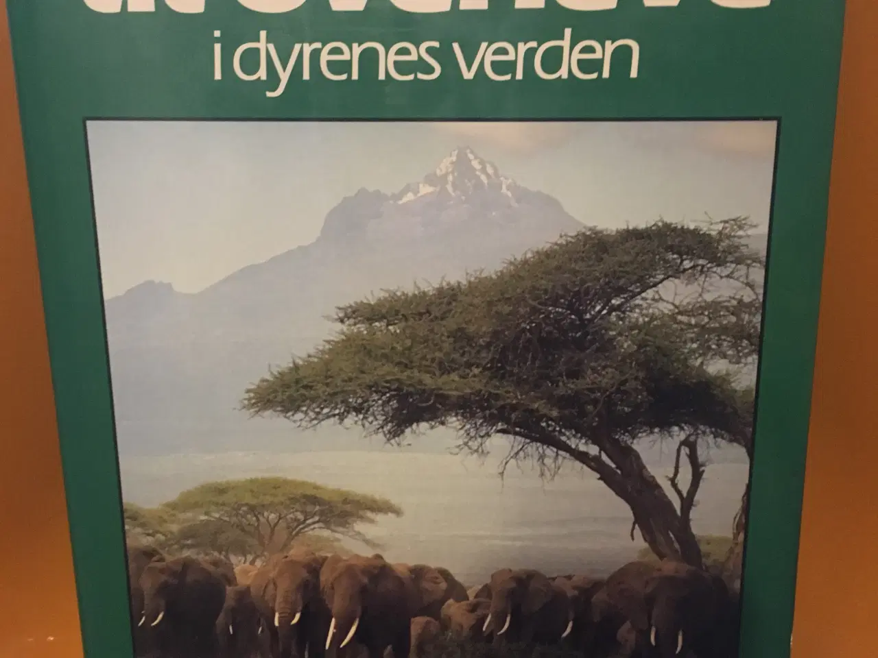 Billede 1 - Kunsten at overleve i dyrenes verden