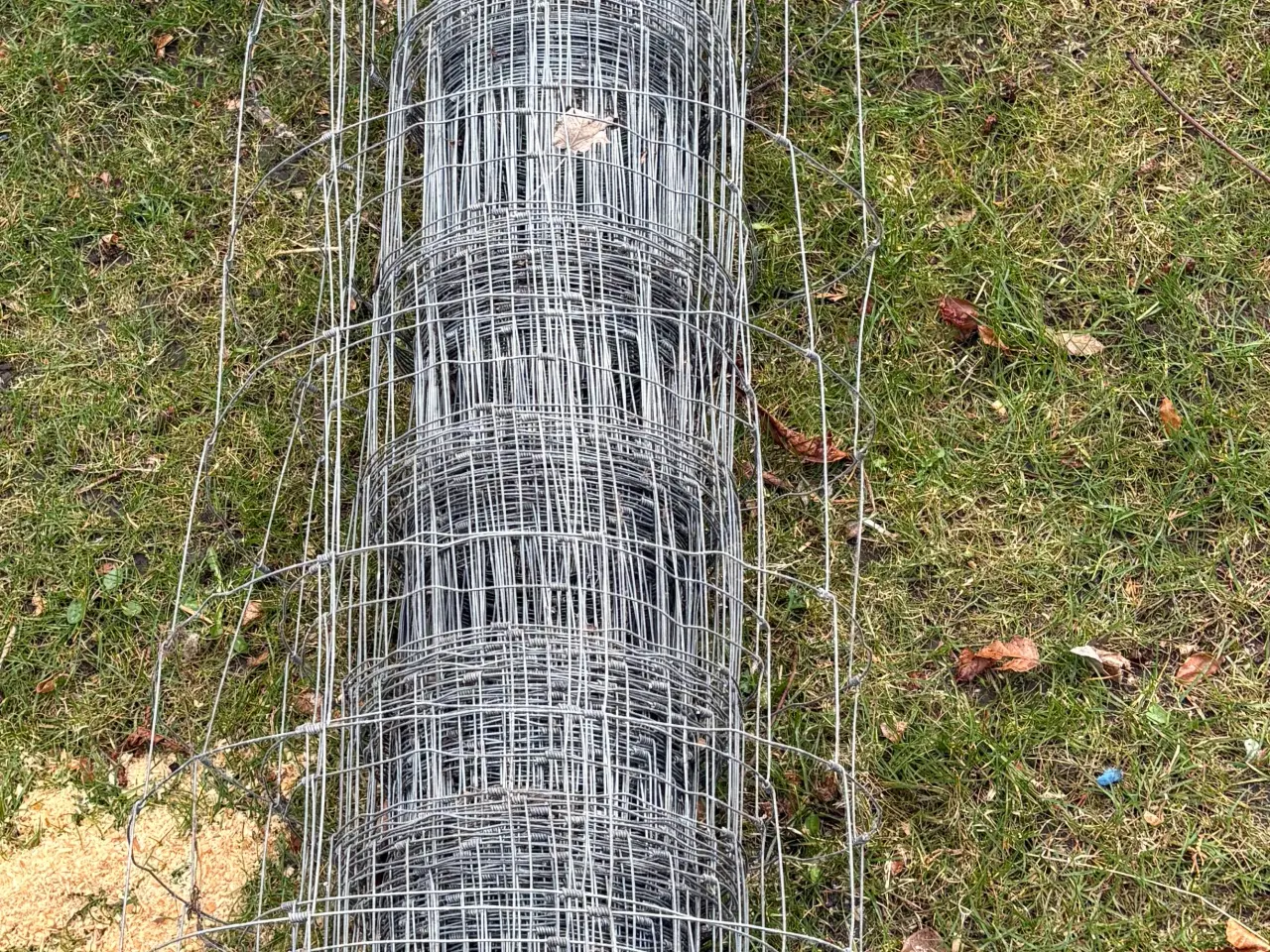 Billede 2 - Dyrehegn