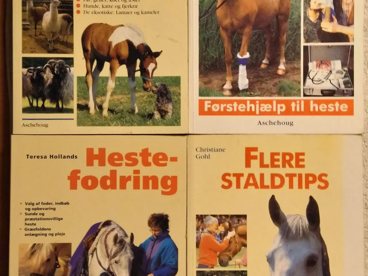 Billede 1 - 5 stk. Hestebøger