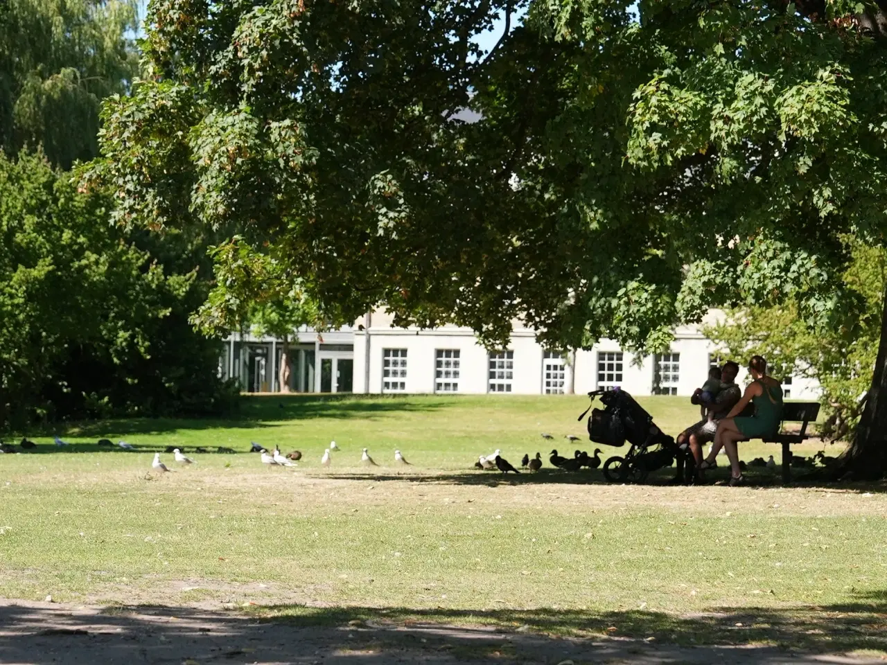 Billede 7 - Skønt lyst lejemål centralt i Kgs. Lyngby