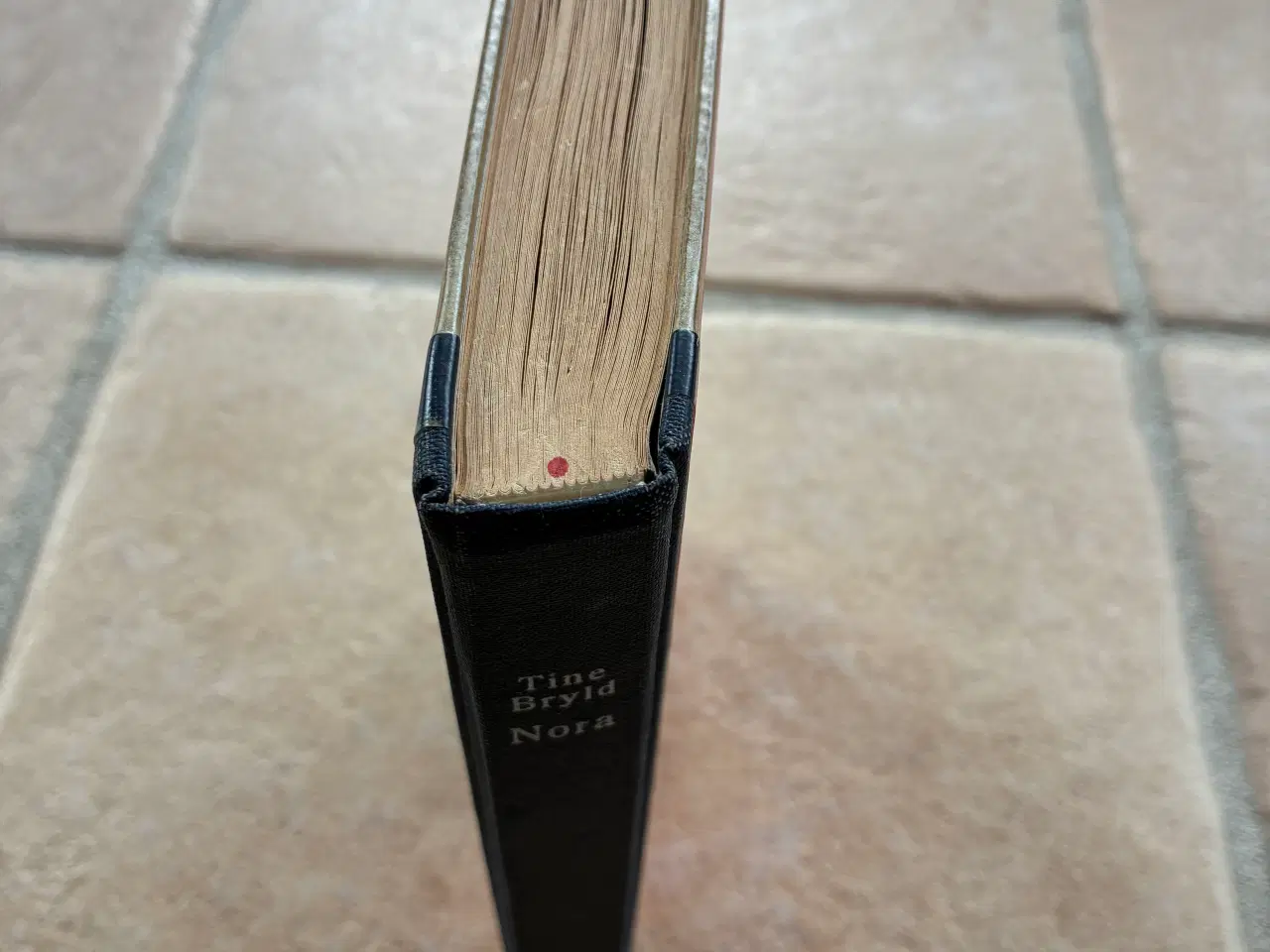 Billede 6 - Nora bog af Tine Bryld