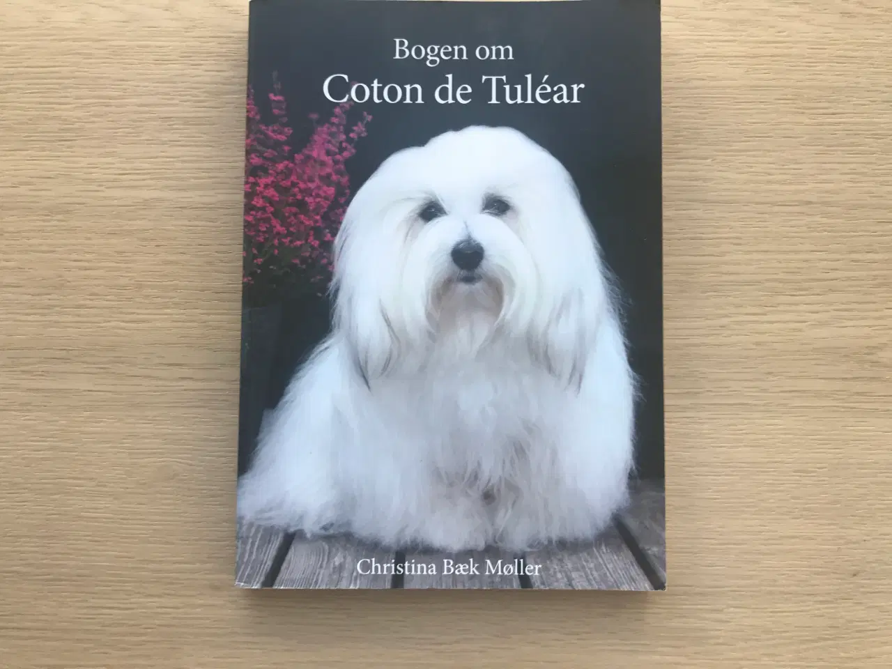 Billede 1 - Bogen om Coton de Tuleár  af Christina Bæk Møller