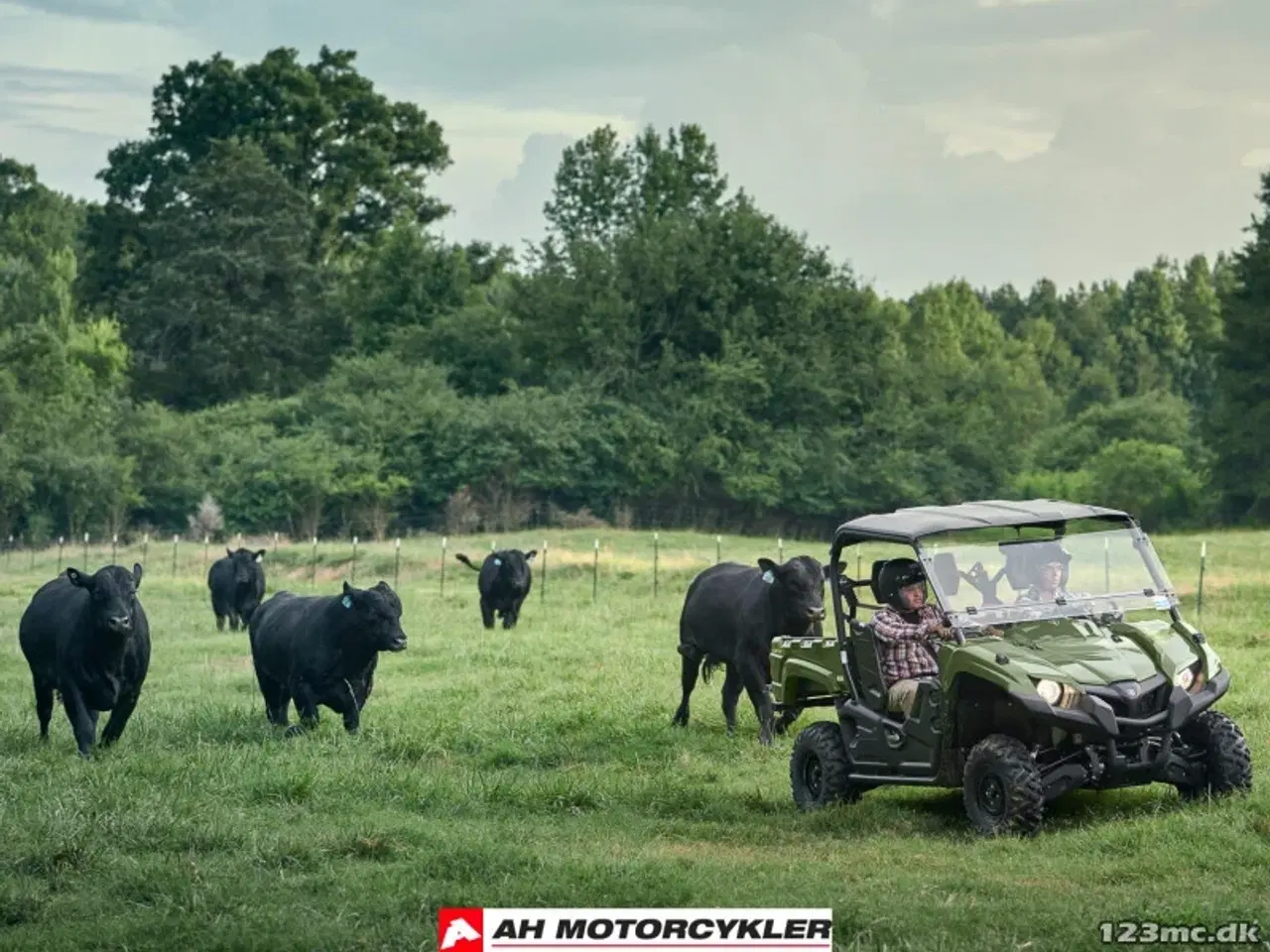 Billede 8 - Yamaha YXM 700 Viking EPS Yamaha Blue Traktor