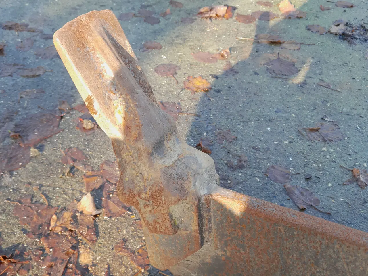 Billede 3 - grubbetand