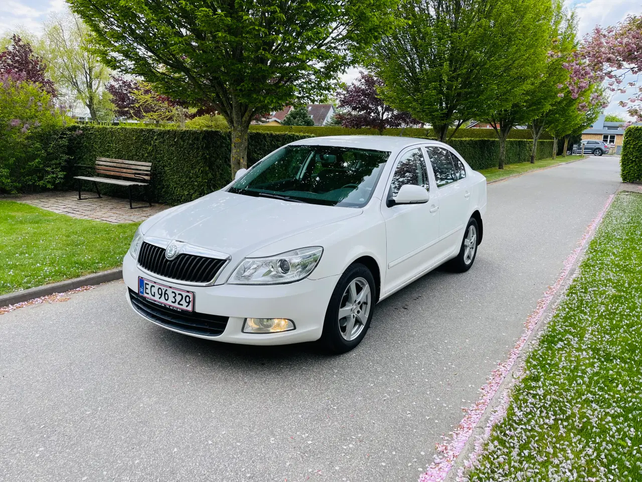 Billede 1 - Nysynet Skoda Octavia 1.6 tdi