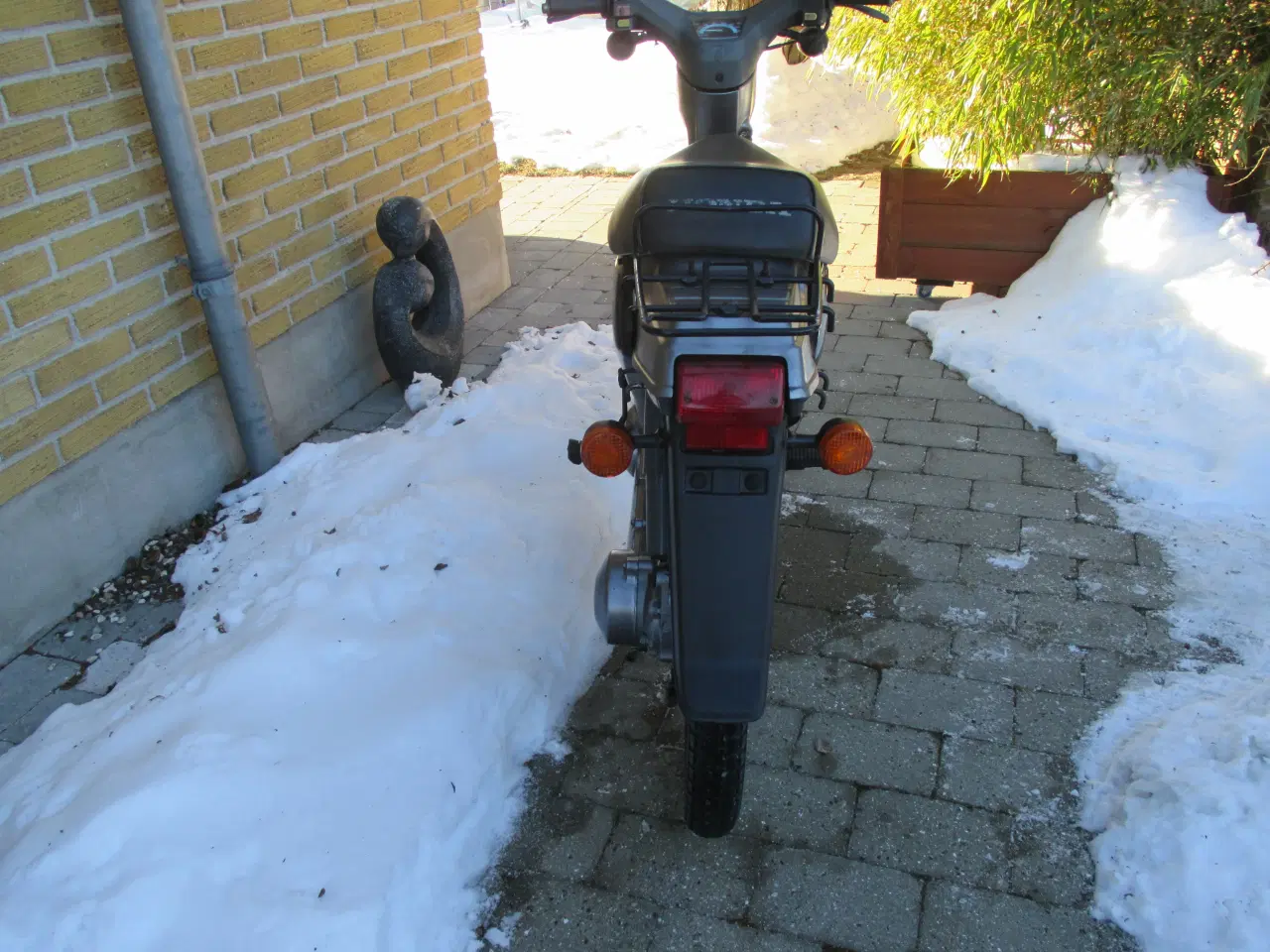 Billede 4 - Honda Wallaro