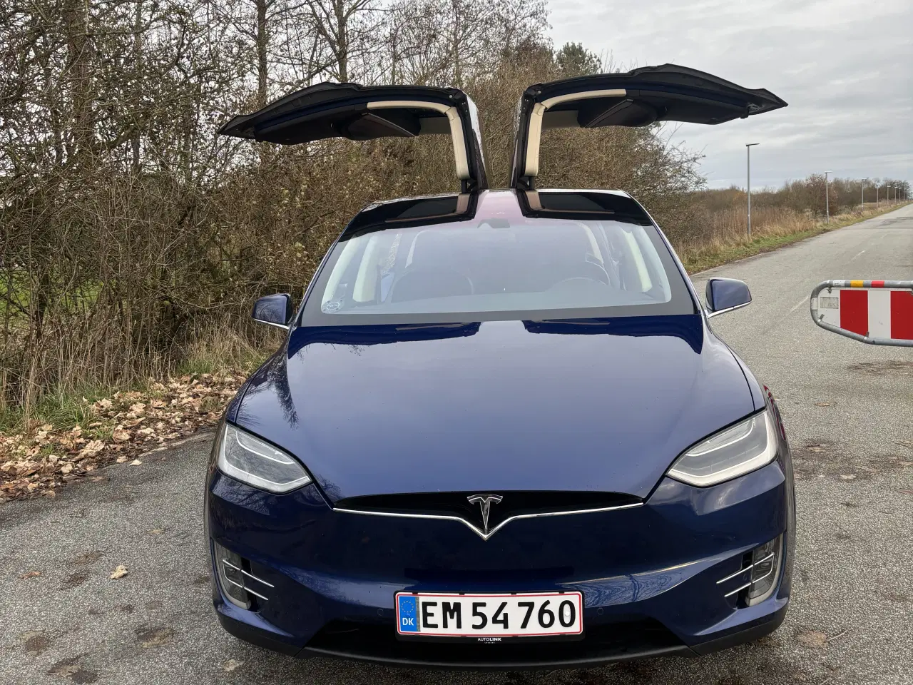 Billede 3 - Tesla Model X 90D 6 Pers. 