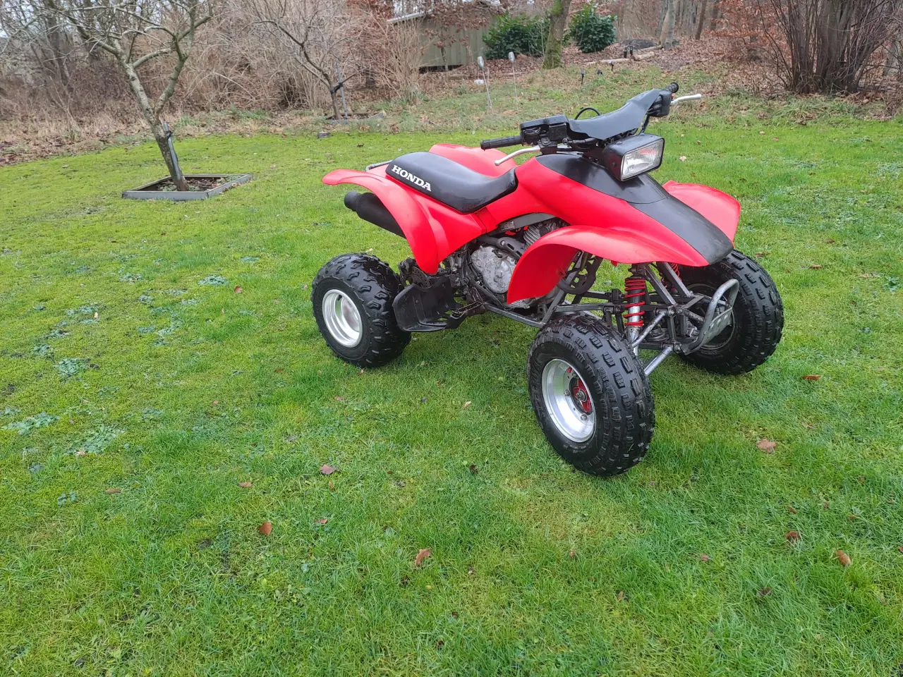 Billede 1 - Honda trx300ex 