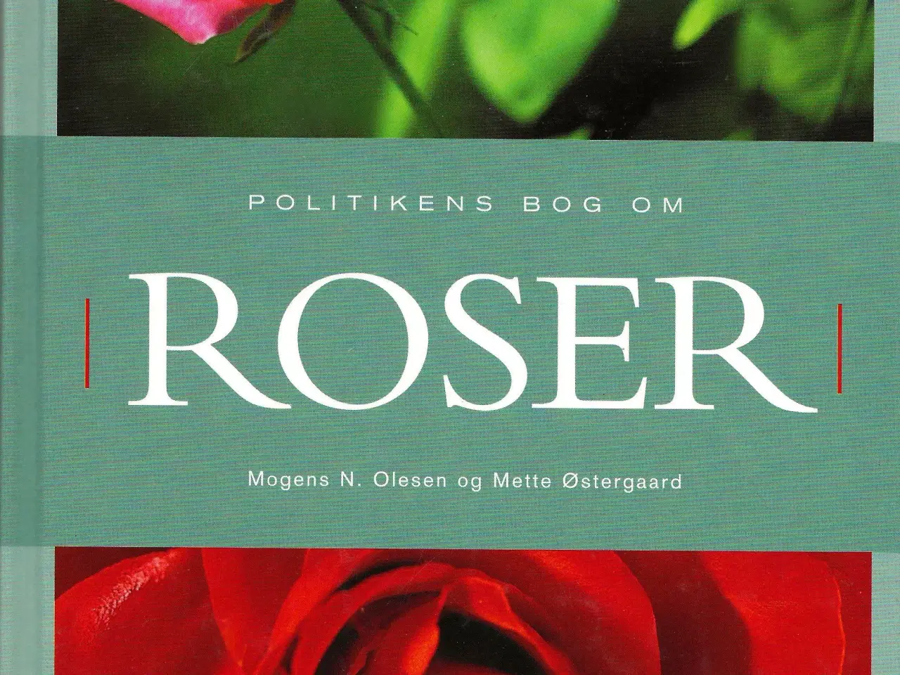 Billede 1 - Politikkens bog om Roser