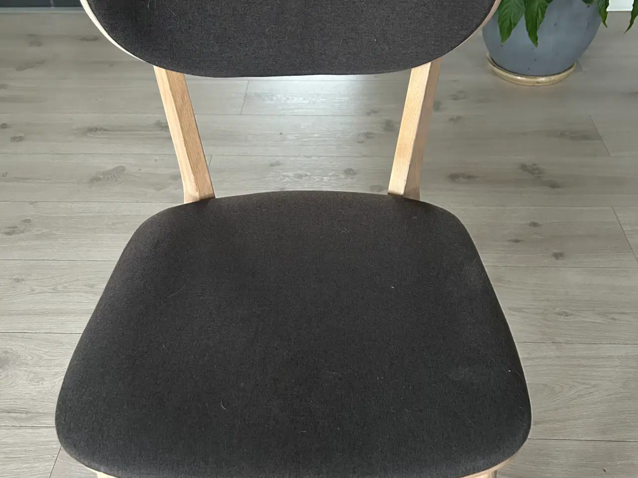 Billede 1 - Spisebordstole i lys eg