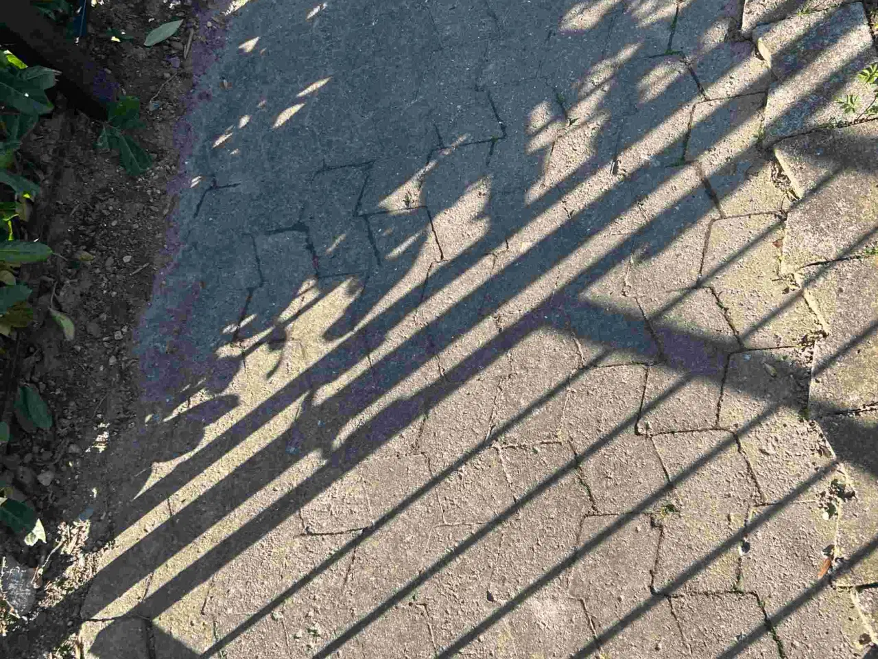 Billede 3 - Gratis fliser