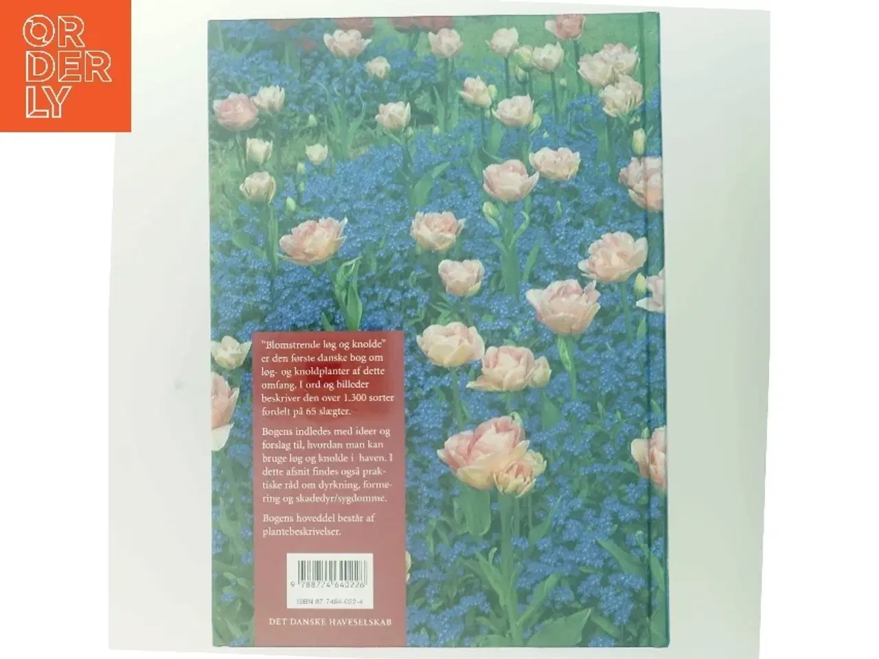 Billede 3 - Blomstrende løg og knolde af Else Als (Bog)