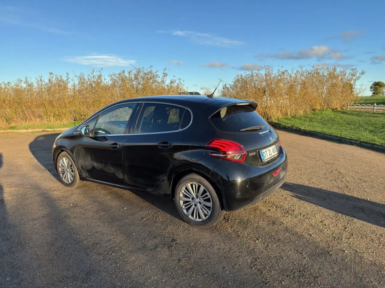 Billede 6 - Peugeot 208 1,6 BlueHDi 100 Desire Sky