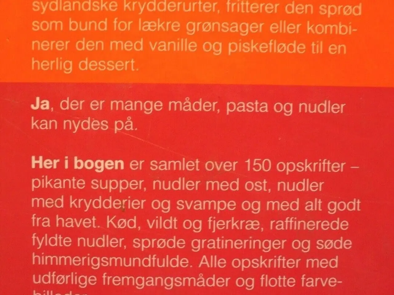 Billede 4 - pasta+nudler. de bedste opskrifter fra hele verden
