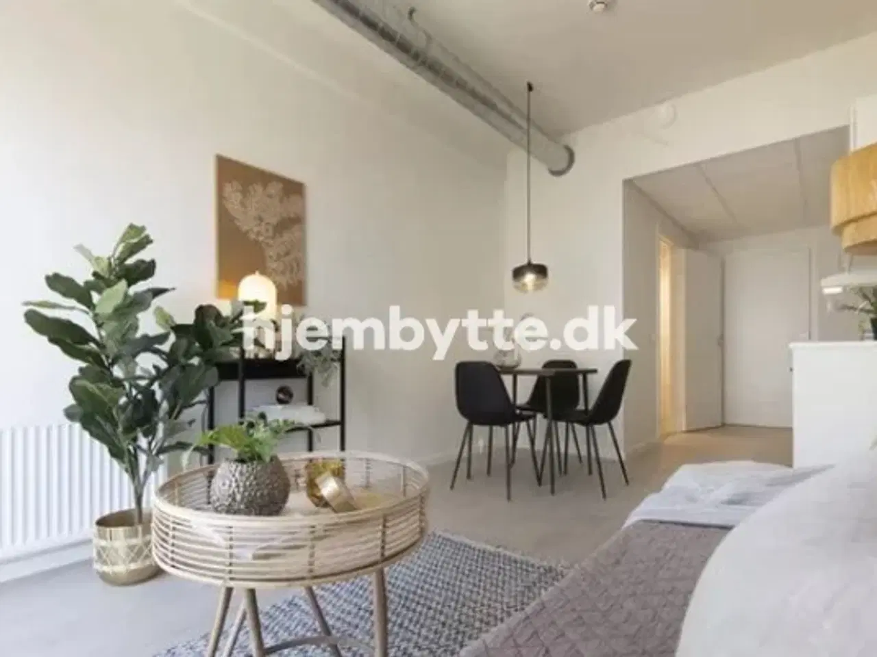 Billede 2 - Hjembytte - Jorisvej