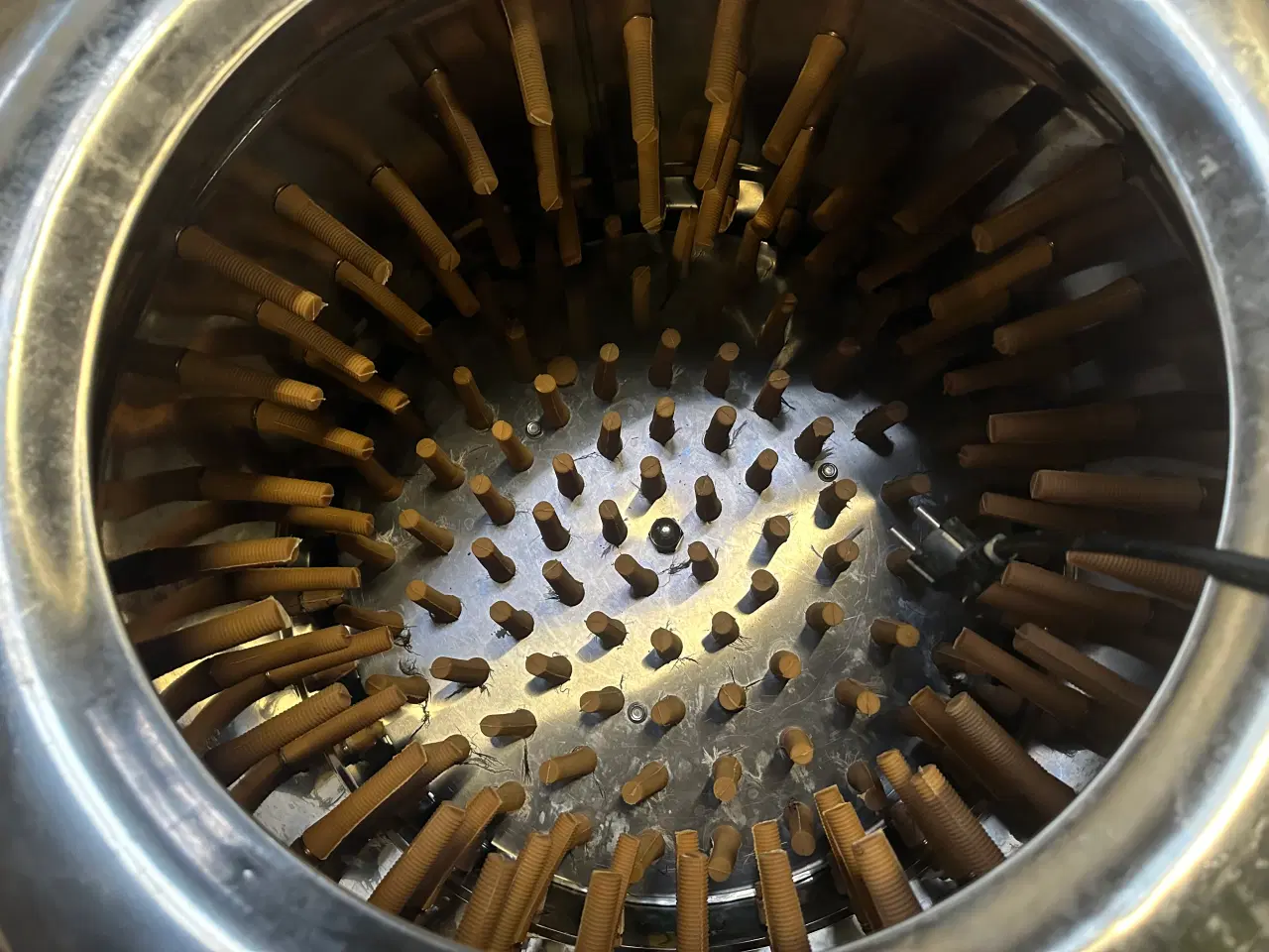 Billede 1 - Fjerkræ plukker ænder, fasaner