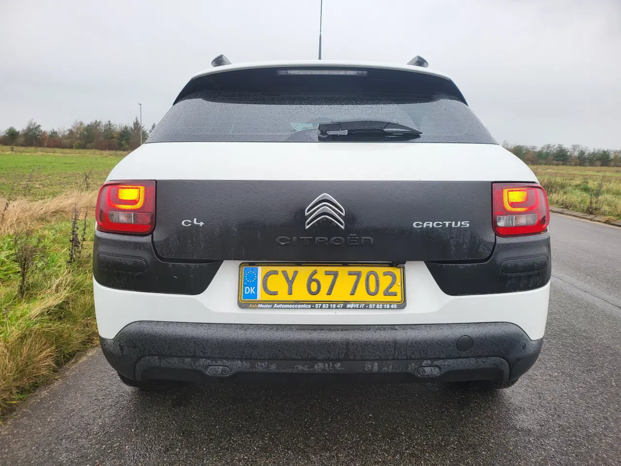 Billede 6 - Momsfri C4 cactus med automatgear 