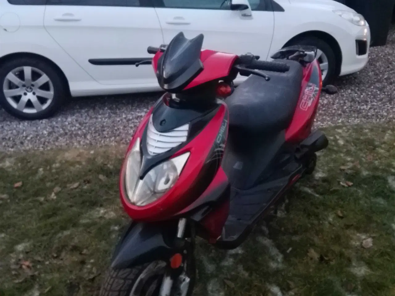 Billede 1 - Texas chilli 30kmt lovlig 