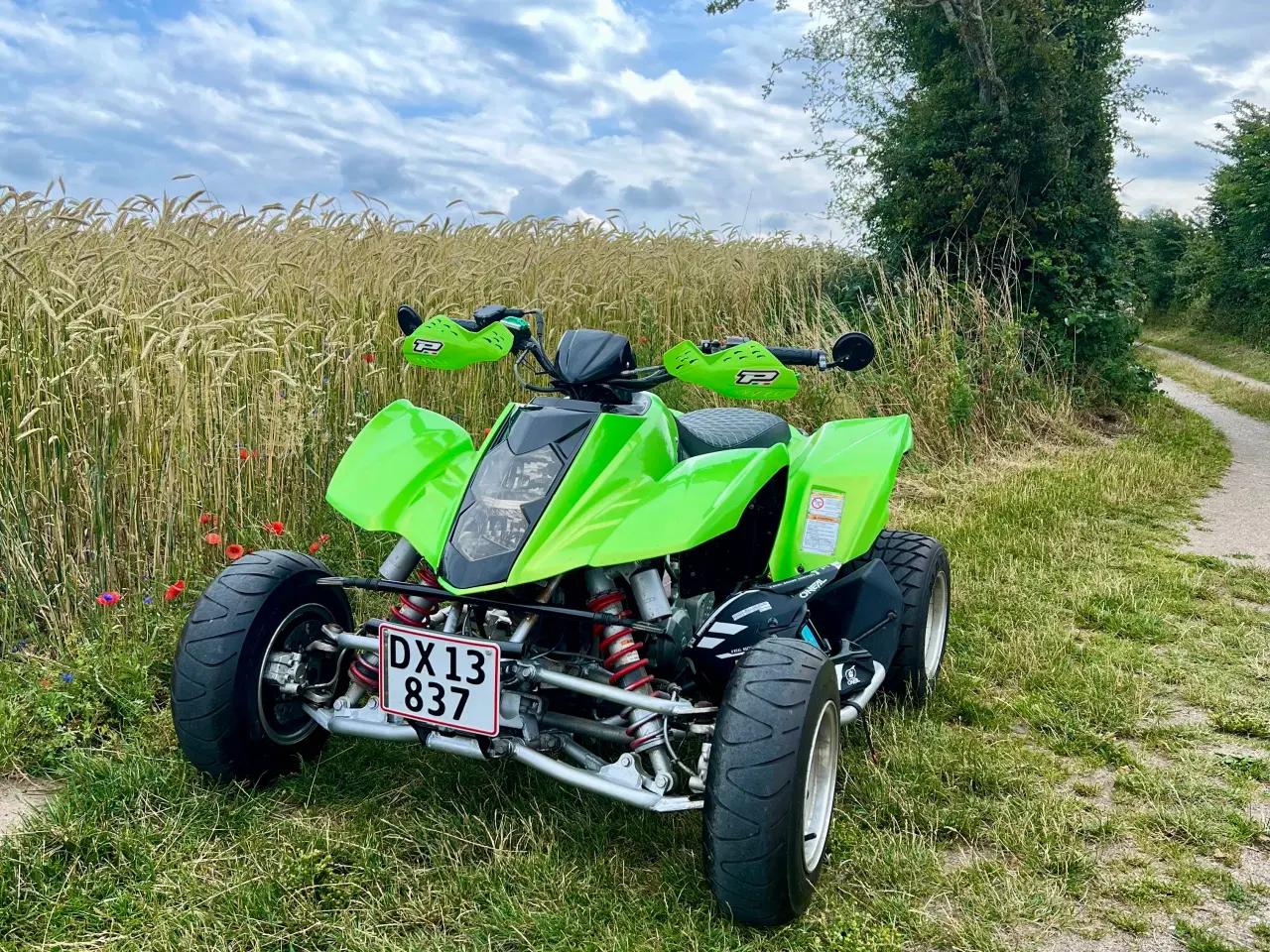 Billede 4 - Hyosung te 450 gade atv