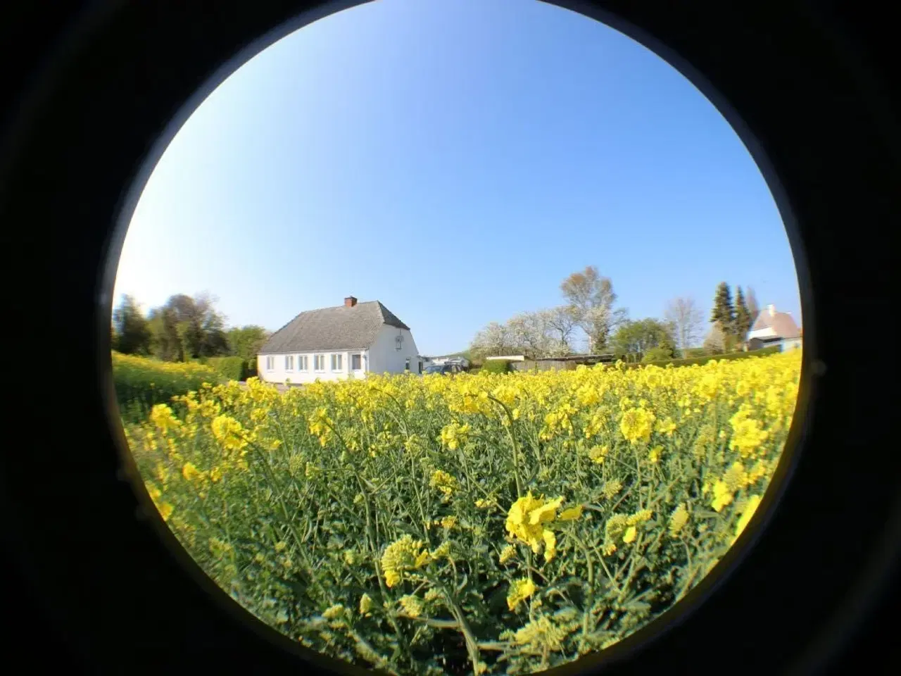 Billede 1 - Hyggelig feriehus i den fynske natur hvor der udenfor er
frit udsyn til
stjernehimlen�