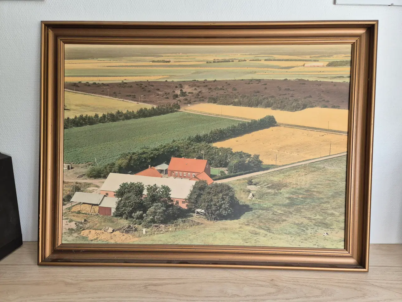 Billede 1 - Maleri Gammelt Odense Lufthavn Beldringe 85 X 64, 