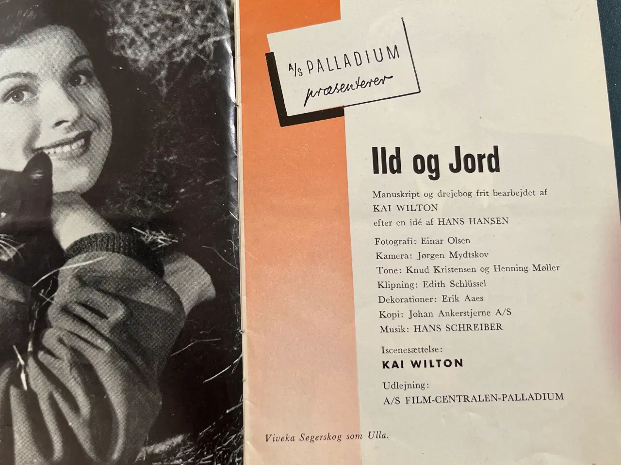 Billede 2 - Ild og jord