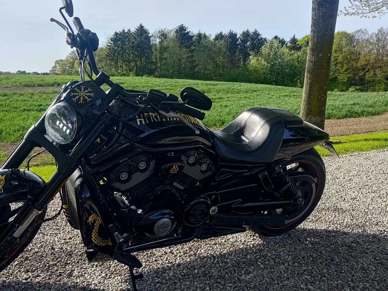 Billede 2 - Vrscdx Night Rod Special 2017 