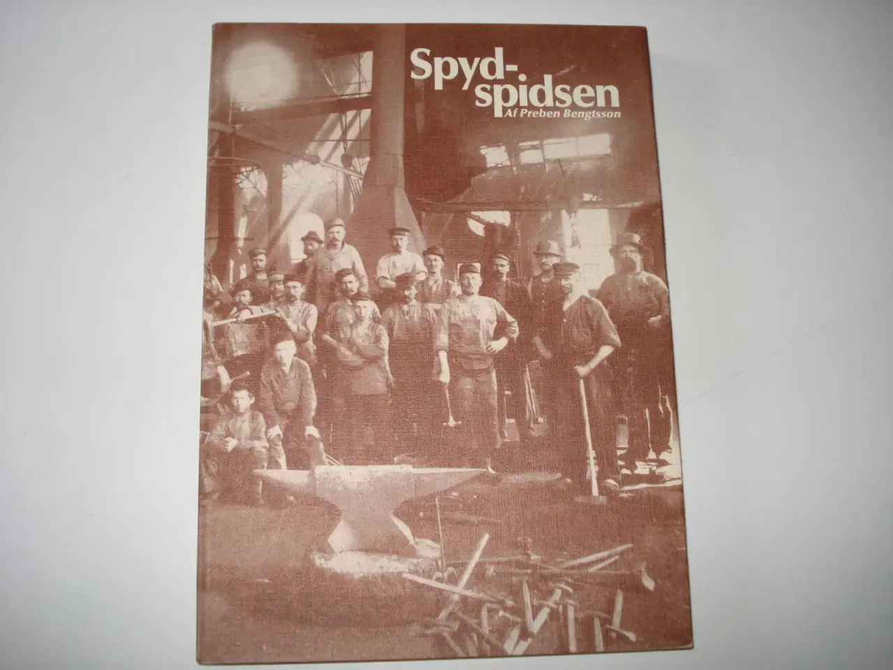 Billede 1 - Spyd-spidsen