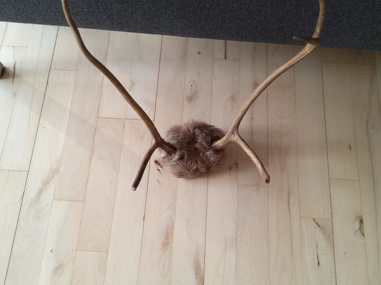 Billede 3 - Gevir til ophæng.