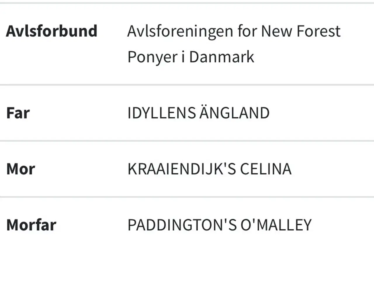 Billede 12 - Allround 2’er pony søger sin nye familie 