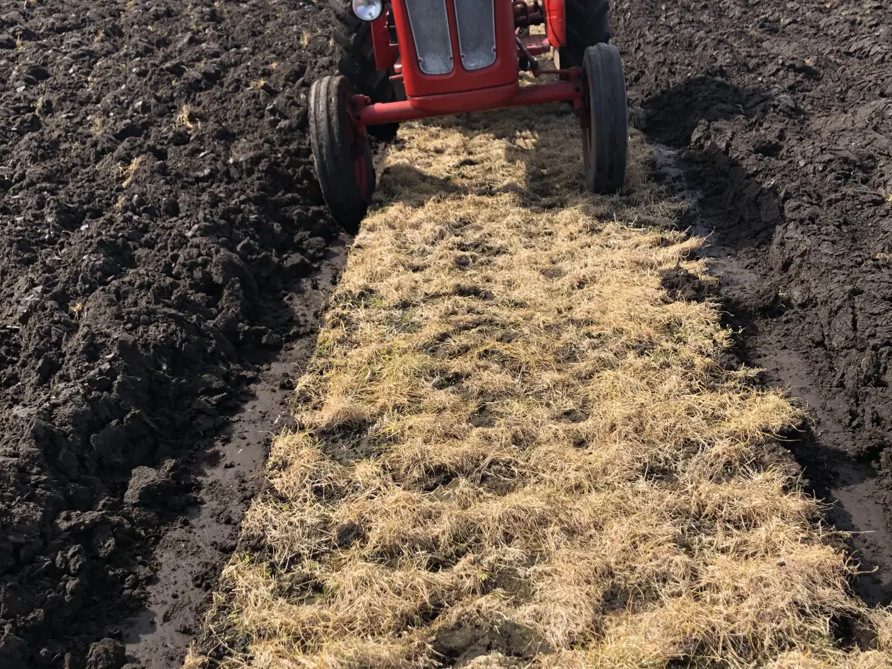 Billede 6 - Buster 320