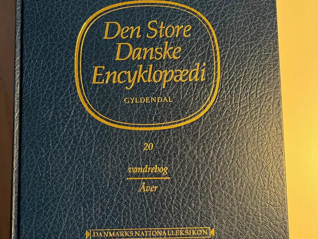 Billede 1 - D S Danske Encyklopædi