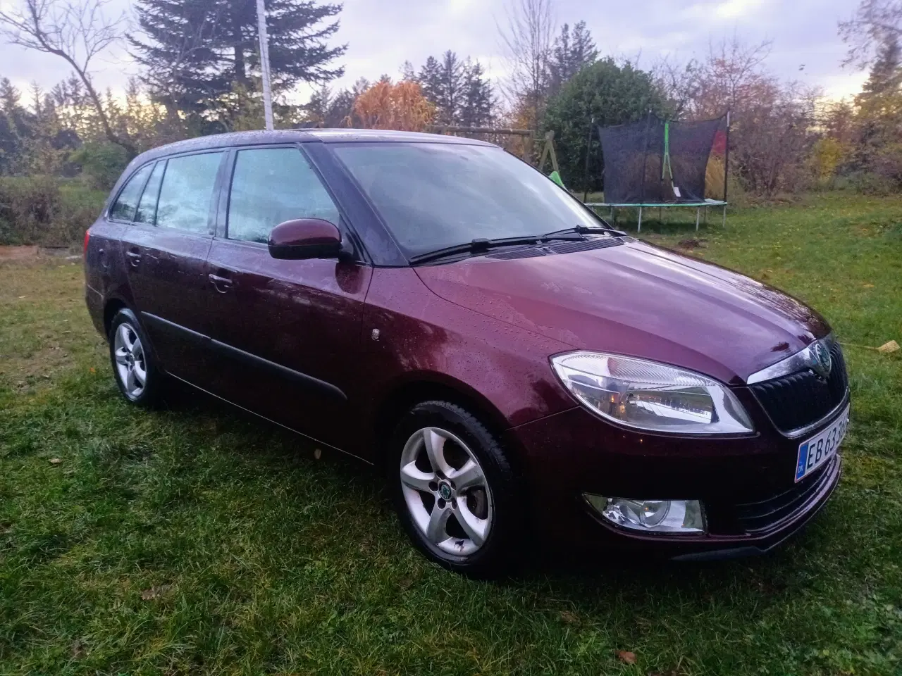 Billede 1 - Skoda Fabia Combi 1,2 Tdi Greenline