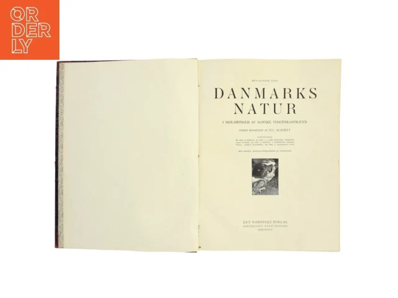 Billede 2 - Danmarks historie