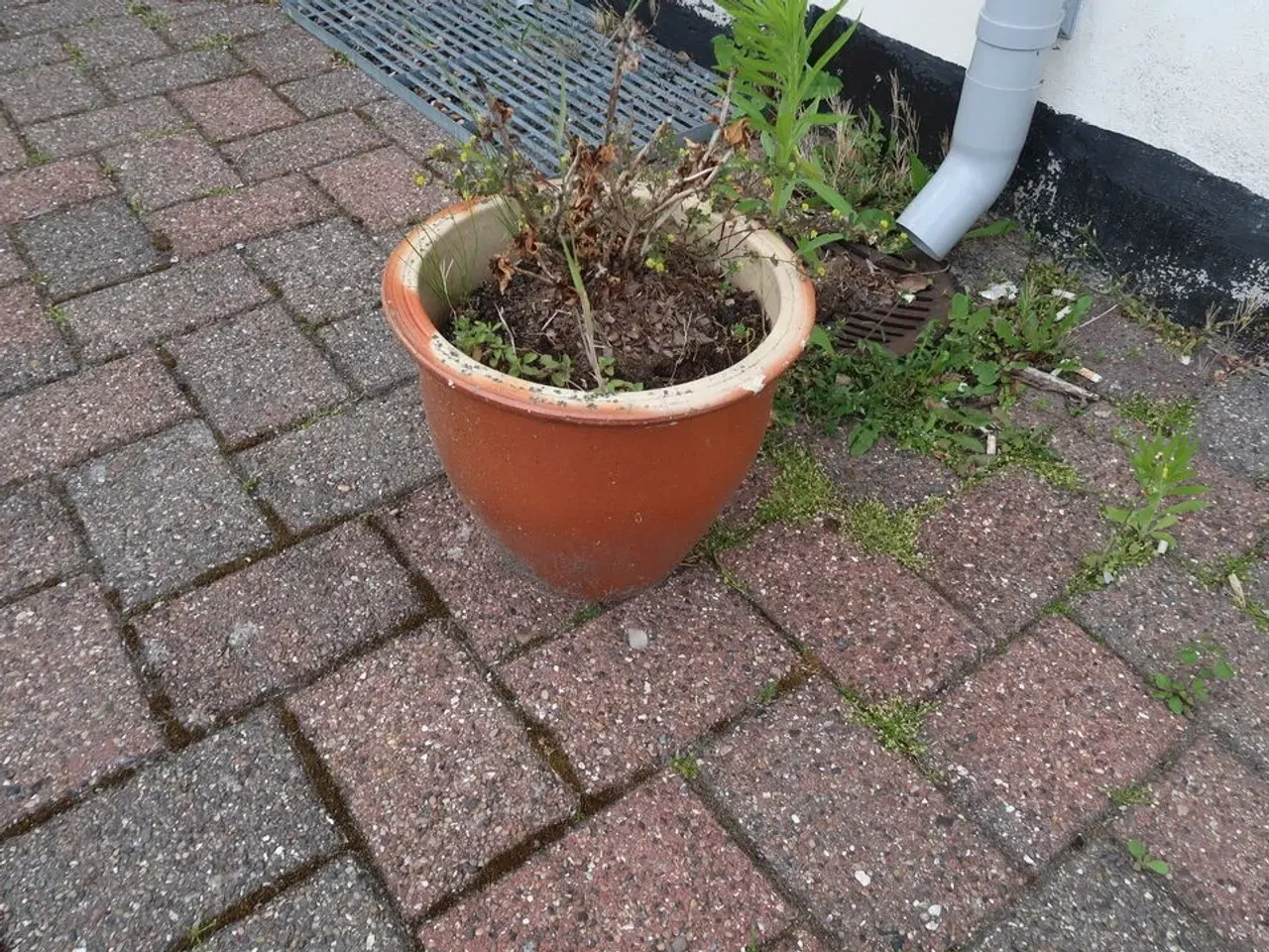 Billede 3 - 5 stk. Blomsterkummer