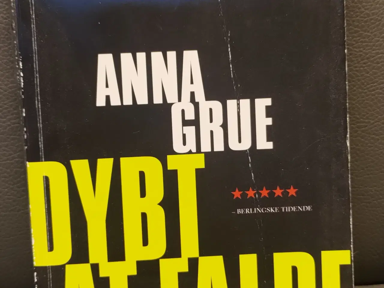 Billede 1 - Anna Grue, Dybt at Falde Paperback 