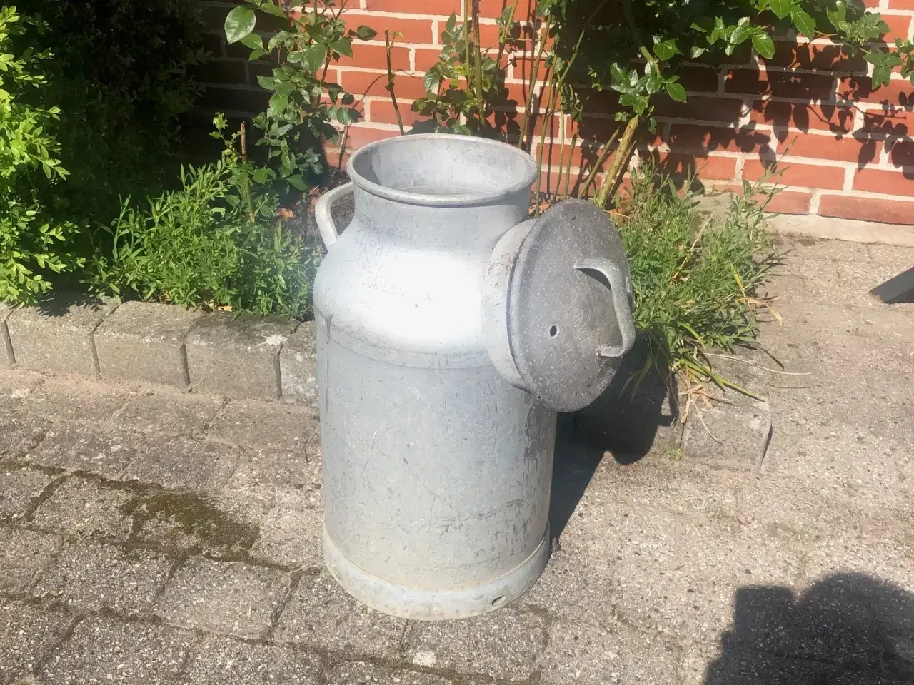 Billede 1 - Originale flotte mælkejunger