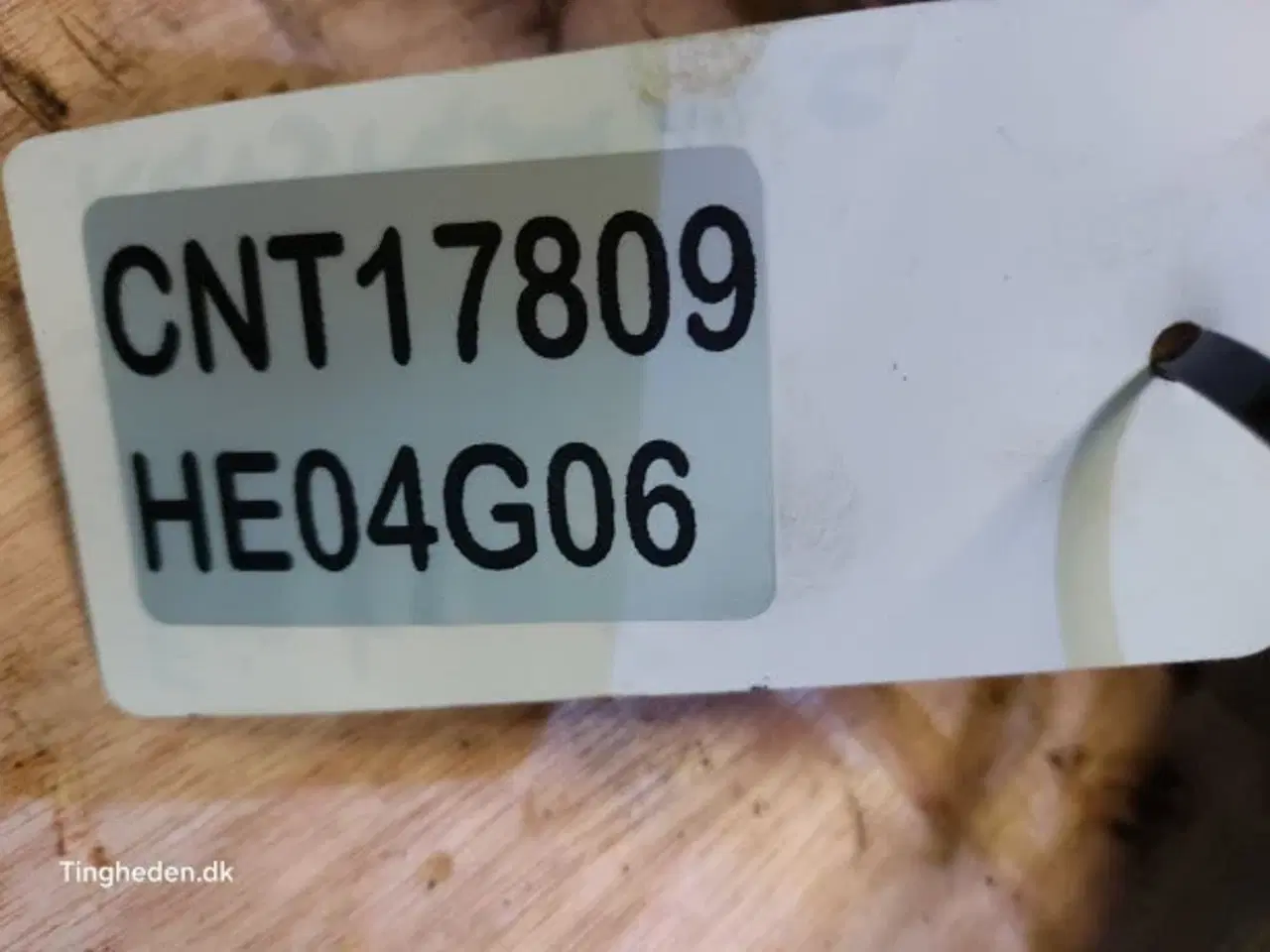 Billede 12 - Fiat Ratstamme