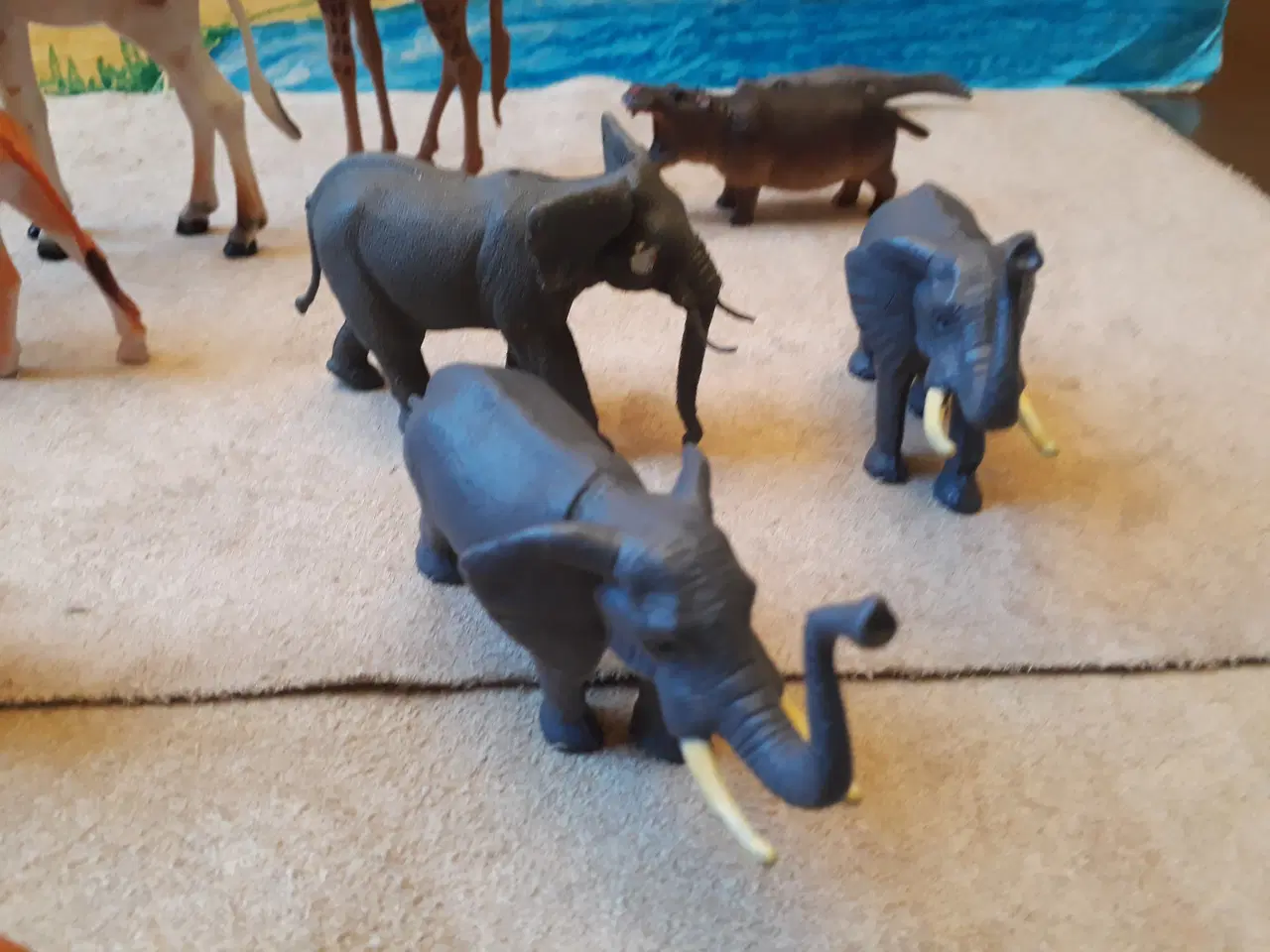 Billede 5 - 17 Zoo Dyr