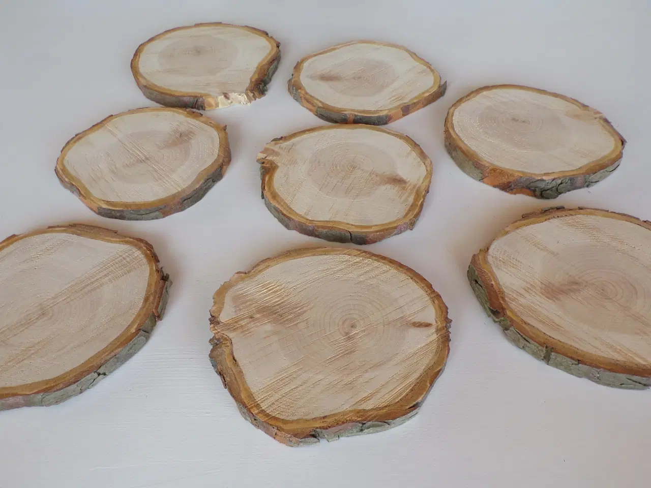 Billede 1 - Nye Thuja træskiver 15 - 17 cm