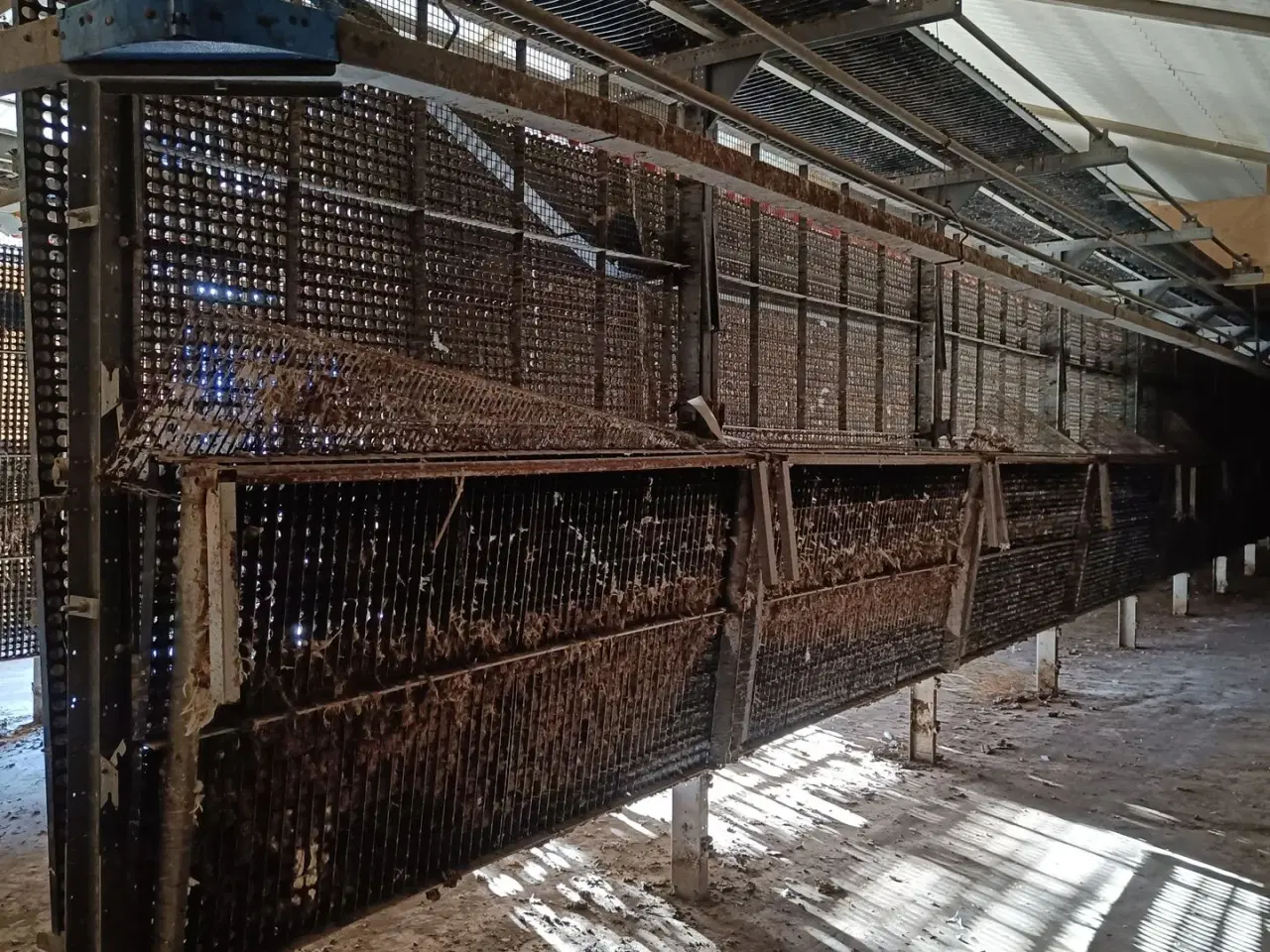 Billede 1 - - - - Fjerkræ opdrætssytem, (inventar) til  ca. 6500 stk.