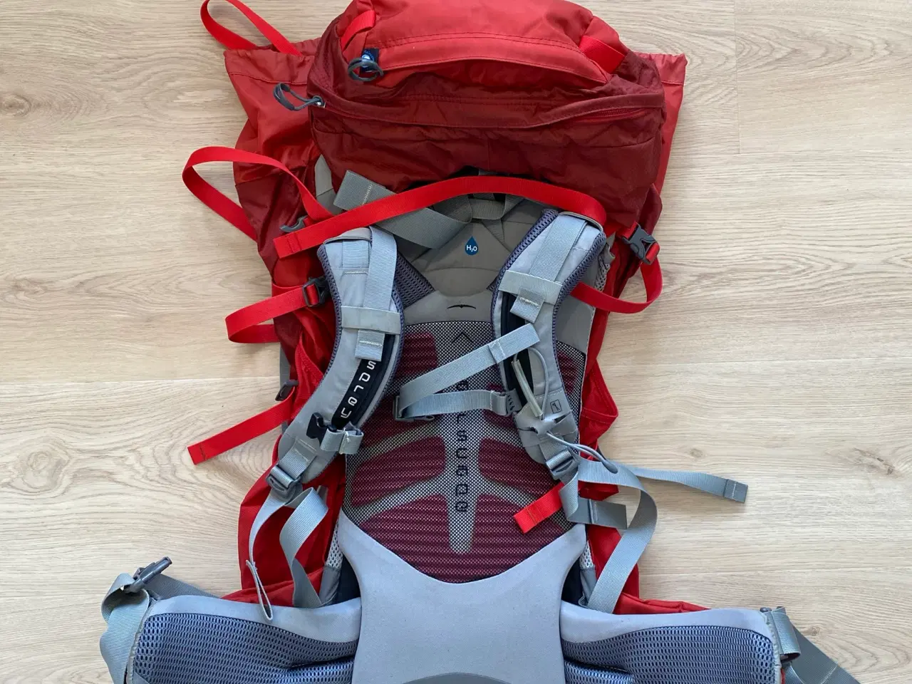 Billede 2 - Osprey Ariel 65 liter - Dame - Rød