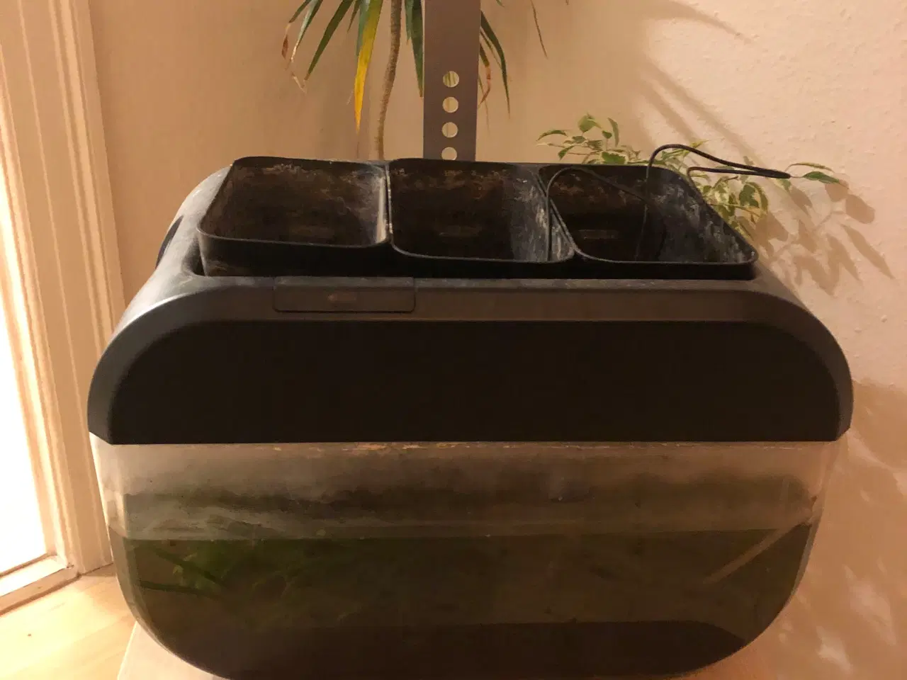 Billede 2 - Akvarium, 24 liter, b: 50 d: 33 h: 40