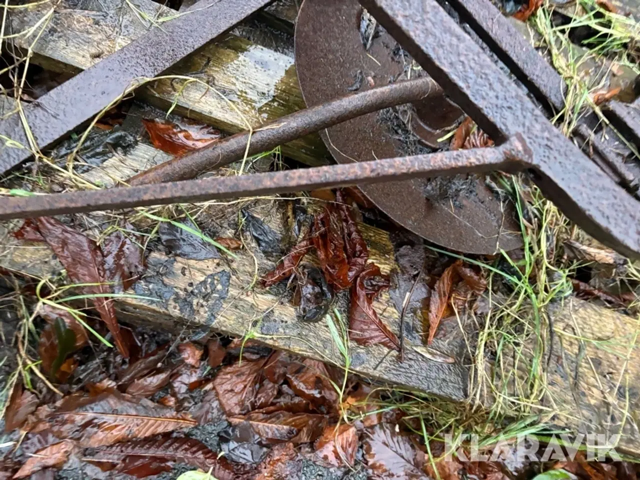 Billede 8 - Tallerkenharver