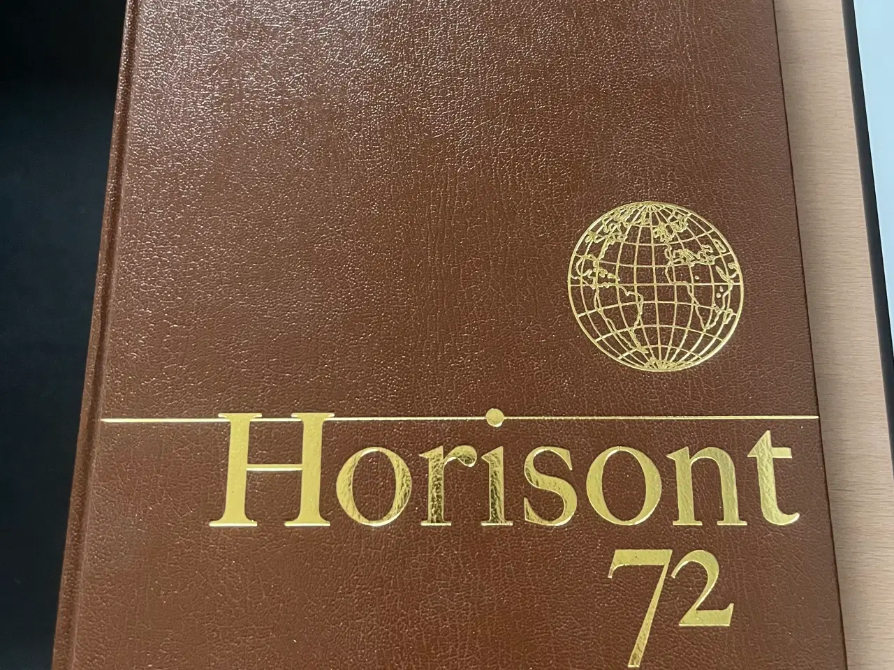 Billede 1 - Horisont 