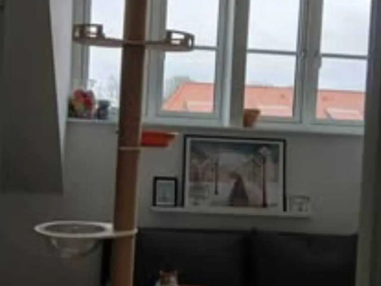 Billede 1 - Nyt kradsetræ