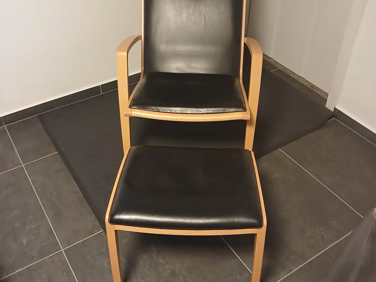 Billede 2 - Ara 1 med skammel tegnet af Jakob Berg